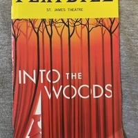 Into the Woods playbill