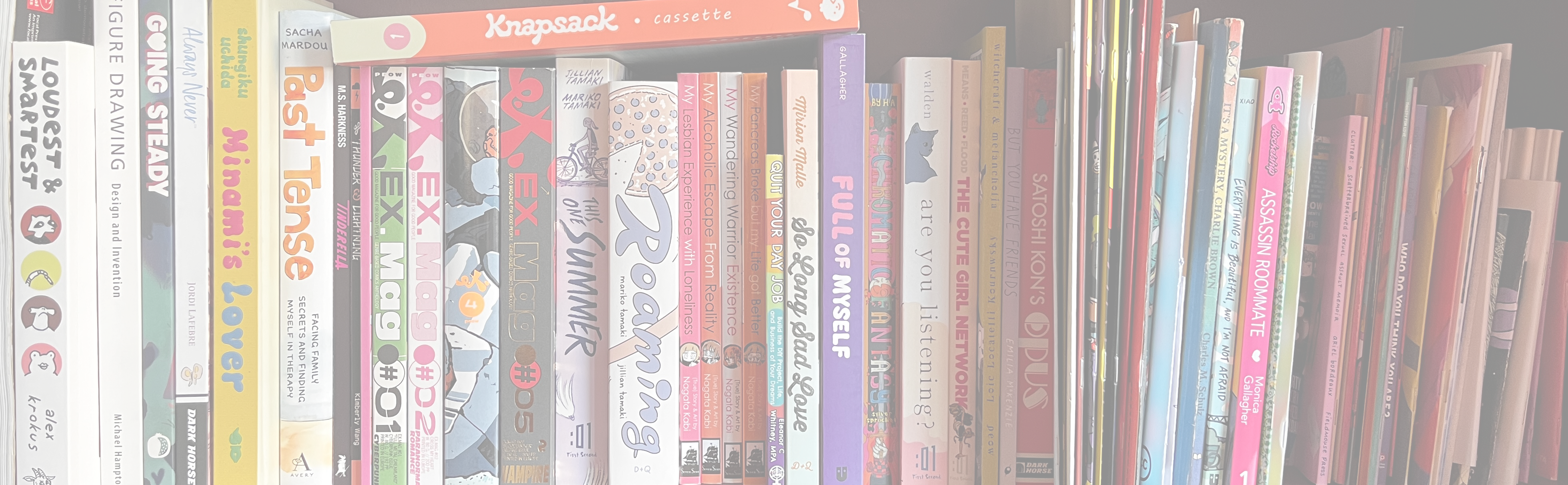 A photograph of a bookshelf filled with comic books.